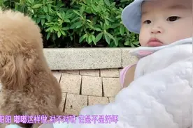 家里有两个淘气小可爱 怎么整？