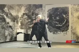 太极大师王战军解释太极拳有级别，低级可看，中级可打，高级。。视频封面