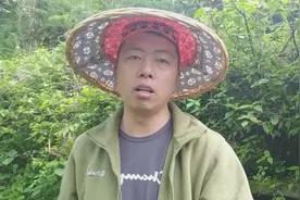 七叶一枝花：山中偶遇稀有野生珍贵中药材，据说能解五步蛇的巨毒视频封面