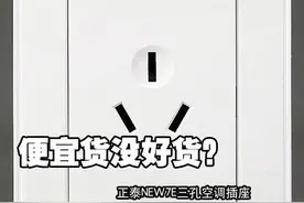价格亲民安全性高 正泰三孔16A插座测评图片