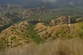 一只刚成年的科曼多巨蜥向一只首领发出挑战结果轻易失败视频封面