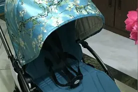 Bugaboo bee3 梵高限量版 博格步婴儿推车 开箱图片