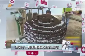 看天下：开眼了！巨无霸蜂巢10层超200斤！视频封面