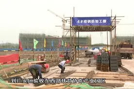 四川广安区：紧盯“大项目” 全力冲刺“双过半”视频封面