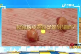 误食樱桃核竟中毒，到底吃多少樱桃核才能中毒呢|生活大调查视频封面
