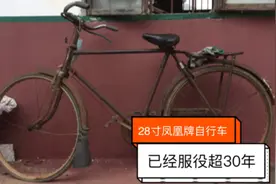 老婆爷爷的凤凰牌自行车，已经服役了30多年，下地还在骑视频封面