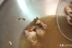 把买回来的烤鸡用开水焯一下，去掉多余的油脂和杂质，做菜更好吃