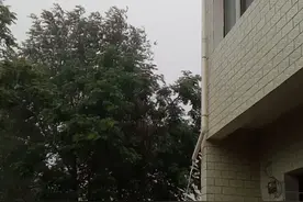 河南省邓州市今上午中到大雨，有望旱情缓解，老百姓说这是在下钱