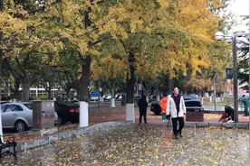 冰冰好庆幸在一个环境超好的校园里学习，雨后的大连理工，太迷人视频封面