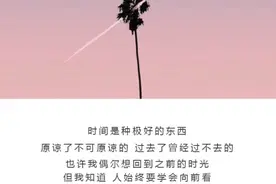 正宗糖炒板栗🌰视频封面