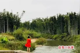 百里画廊！惠州一个可以泡“野温泉”、搞野炊、做竹筒饭的好地方视频封面