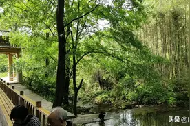 什么样的景色竟然让小朋友主动要求拍照，是小朋友太爱臭美还是视频封面