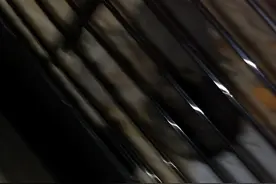 一公两母不知道能生出多少😄视频封面