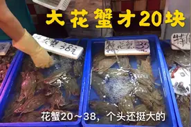 大肥来到广州的西华市场，大花蟹才20一斤，你觉得值不值视频封面