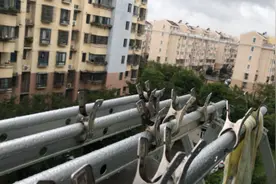 上海为什么会发出这样的警报