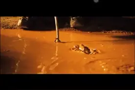 人只要是饿了，啥玩意儿都吃得下去