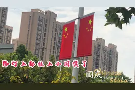 金秋十月，路边的桂花都开了，老婆摘了桂花要做什么？视频封面