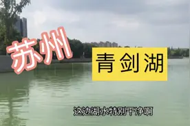实拍苏州青剑湖，水面很干净湖面清澈看上去一点垃圾也没有！视频封面