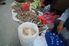 阳江大八，等圩是我们这传统称号，5号0号就是圩日视频封面