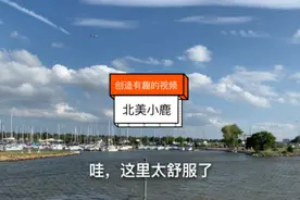 一百美金在美国餐厅吃饭都能吃到啥？妹子竟然直呼吃不饱视频封面