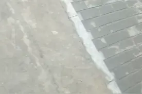 专家解读一下，白色什么果？这种山楂据说从美国引进，果硬吃不动视频封面