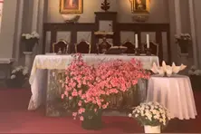 耶稣大教堂视频封面