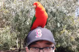 奶爸去吃网红冰淇淋店，看看这的冰淇淋口味有多变态视频封面