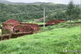 大凉山原始自然风光，9月1日大凉山苦荞收获，喜迎金秋，点击国视频封面