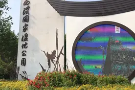 浙江杭州最聚财的地方，实拍支付宝大楼视频封面