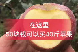 在这里，你花50块钱可以买到30-40斤苹果，吃到你怀疑人生