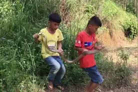 9岁农村小孩野外抓获2米大蛇，却只换来20元，坑爹！视频封面