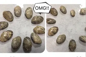 小伙的几个方法 果然能买到好花甲视频封面