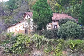 阿呆自驾到浙江江山小山村，随处可见的松鼠，城里人都没见过。视频封面