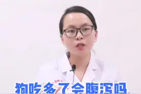 狗狗吃多了，会腹泻吗？#好好宠它# #我要上头条#