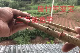 废弃竹竿变成宝 二节鲫鱼竿 您觉得行吗？视频封面