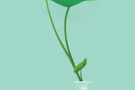 Safari利用AdGuard去广告