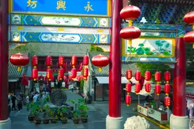 《西安攻略》半天玩转西安视频封面