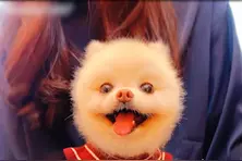 连美瞳都不会带，你怕是个假女孩吧！视频封面