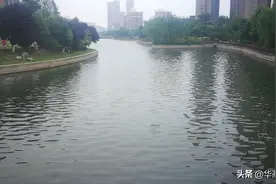 商丘市运河水变清！一湾碧水自黄河视频封面