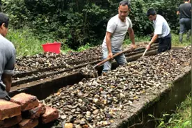 农村自来水过滤池是这样清洗的 没经验根本不会洗视频封面