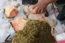 石头蜂蜜！是蔗糖或白糖色素大碱水熬化中间加干蜂巢放凉贴上青苔