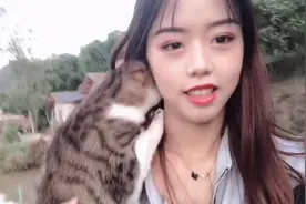 养了一年多的猫咪送人了，很舍不得，担心过得不好，但是没办法！视频封面