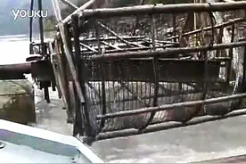 竟然还可以这样捕鱼，简直太轻松了图片