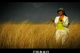 聆听经典--刀郎 黄灿：雁南飞图片