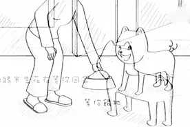 狗狗的一生中大多数时间是在等你回来，多陪陪它们图片