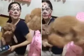 吓死宝宝了！狗主人敷101斑点狗面膜，吓得贵宾犬狂叫不止！图片