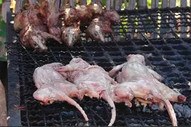 史上最恶心的食物，你敢吃吗？图片