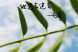 你跟他走别回头  我有孤独为友图片