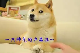 讯飞输入法新版发布 产品经理如是说体验不能差不多图片
