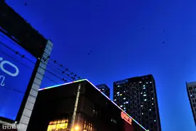 沈阳闹市中心，为什么会有那么多乌鸦呢？图片